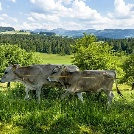 Oberberg Oberreute