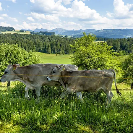 Oberberg Apartamento *