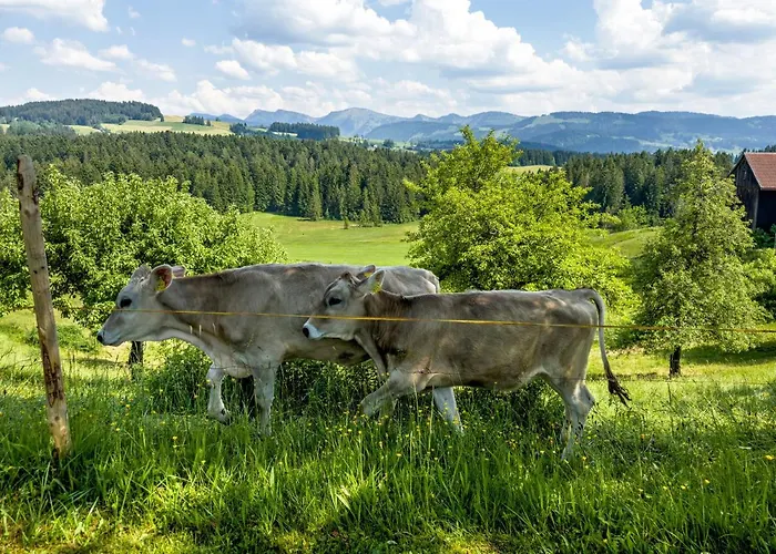 Oberberg Oberreute